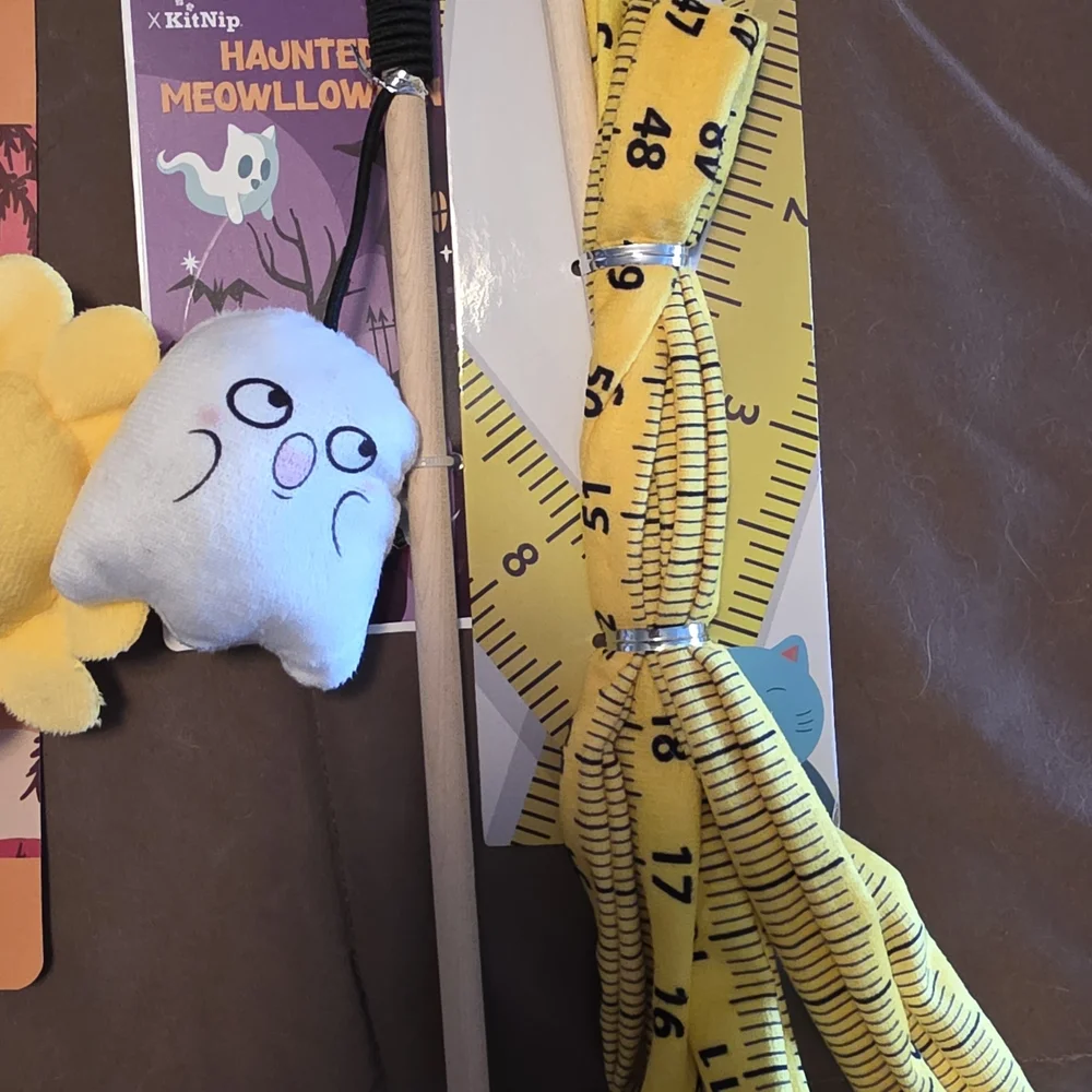 Interactive Cat Toy Set with Fun Designs